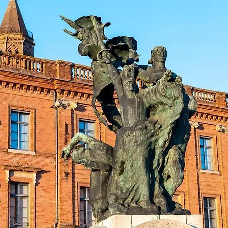 Magnolia Magnifique T2 Entierement Renove. * Montauban