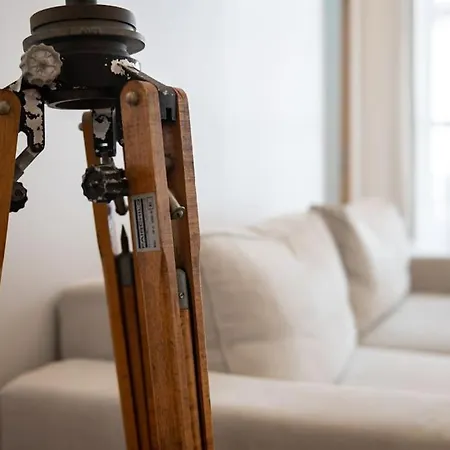 Magnolia Magnifique T2 Entierement Renove. * Montauban