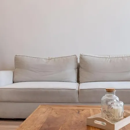 Magnolia Magnifique T2 Entierement Renove. Montauban