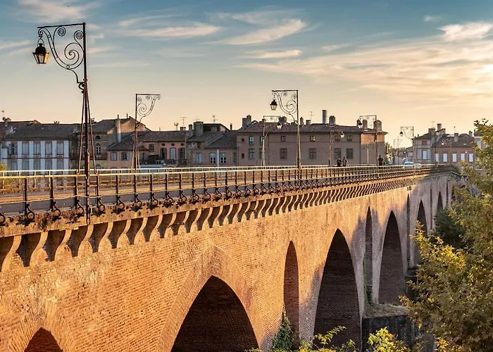 Magnolia Magnifique T2 Entierement Renove. * Montauban