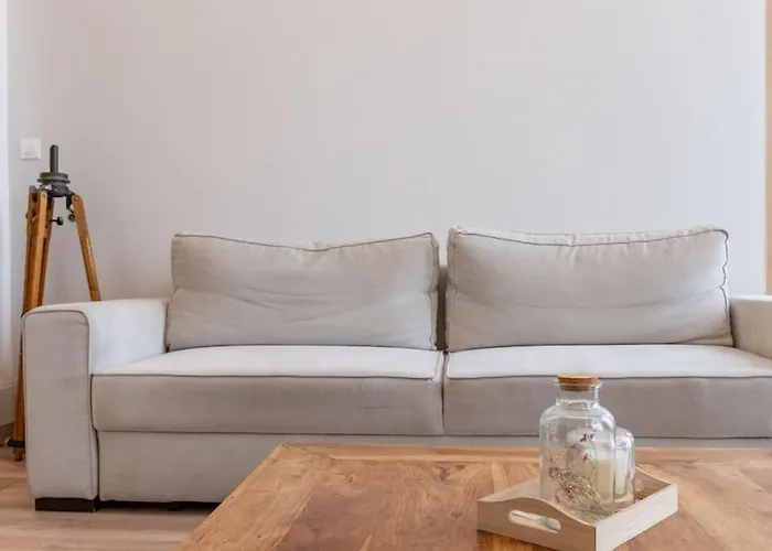 Magnolia Magnifique T2 Entierement Renove. Montauban