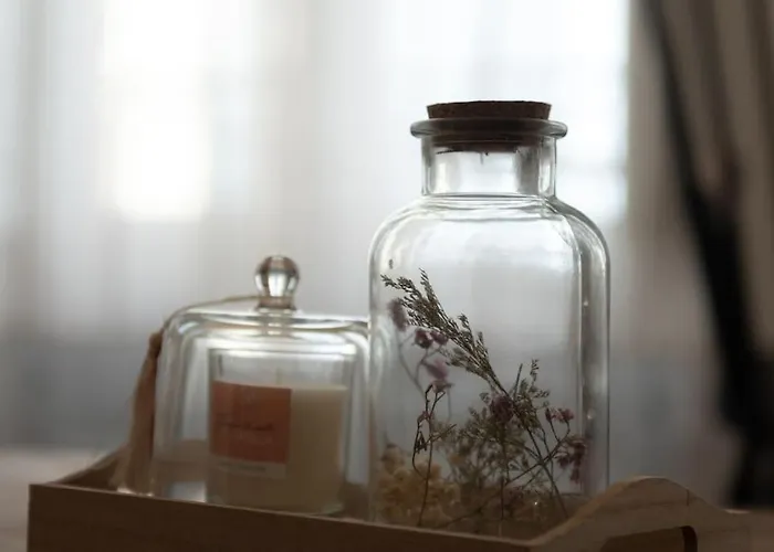 Magnolia Magnifique T2 Entierement Renove. * Montauban