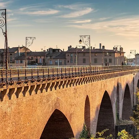 Magnolia Magnifique T2 Entierement Renove. * Montauban