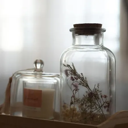 Magnolia Magnifique T2 Entièrement Rénové. * Montauban