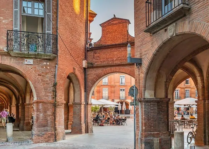 Magnolia Magnifique T2 Entierement Renove.