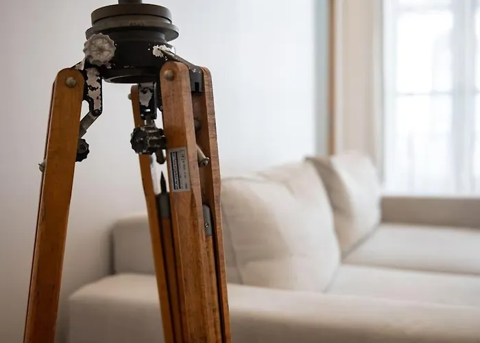 Magnolia Magnifique T2 Entierement Renove. * Montauban